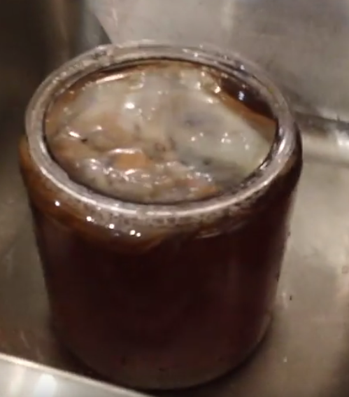 Jar of brewing Kombucha