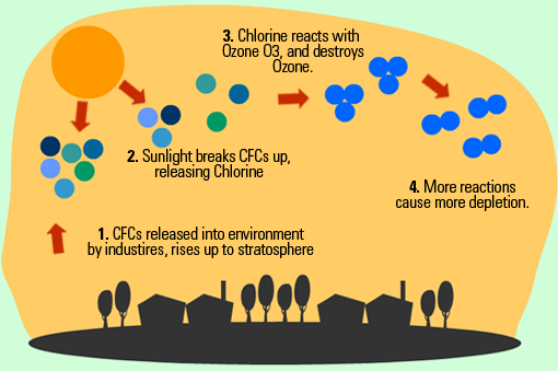 ozone-depletion-process.png
