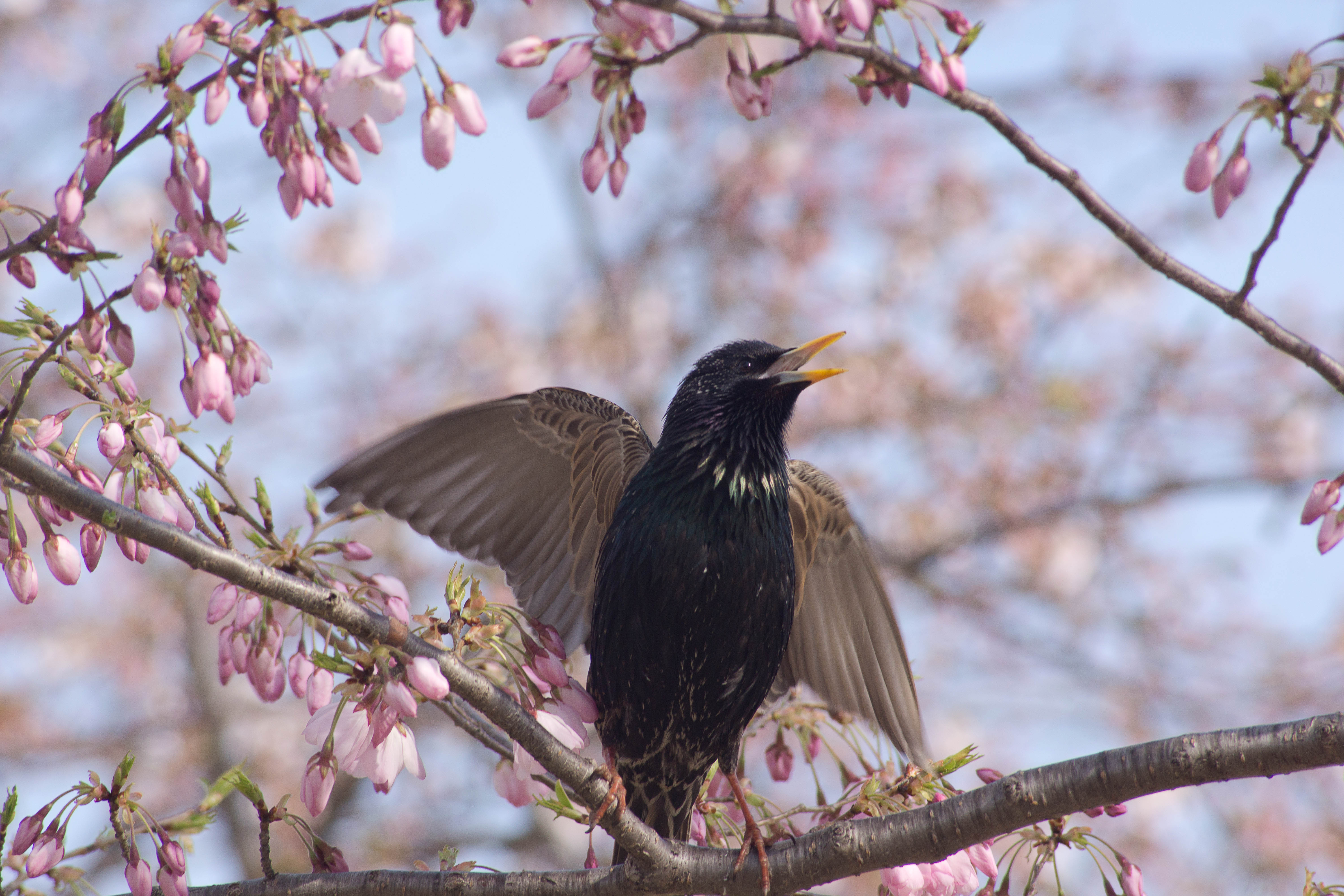 7EDB512E-EFB1-489C-B8AE-0FFB385AB288.jpeg