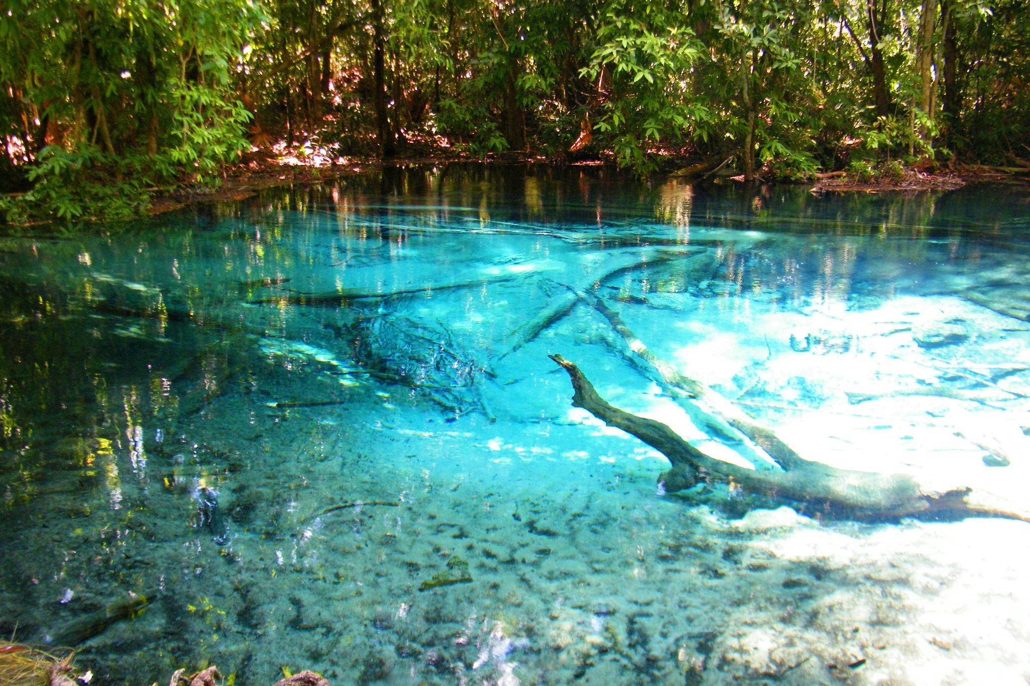 Natural pool in the capital of Brazil 