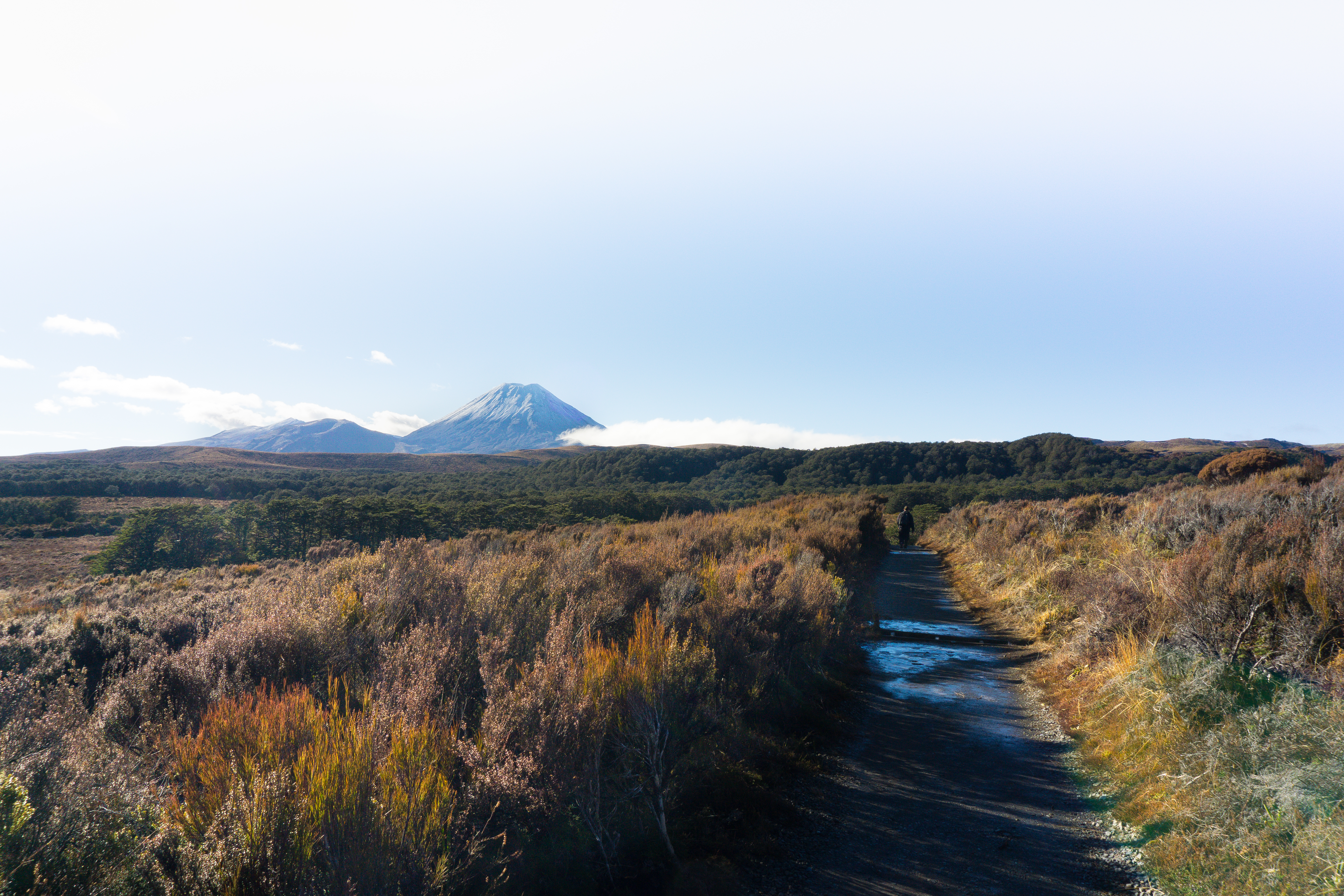 final-v2.3 (1 of 1)-2.jpg