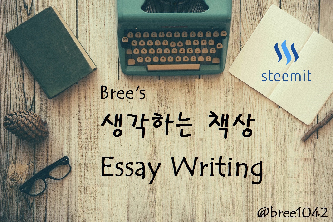 수필 스팀.jpg