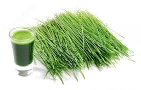 wheat grass solution.jpg