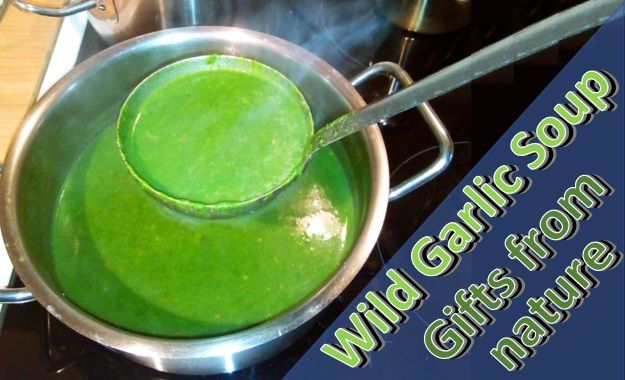 wild_garlic_soup_steemit.jpg