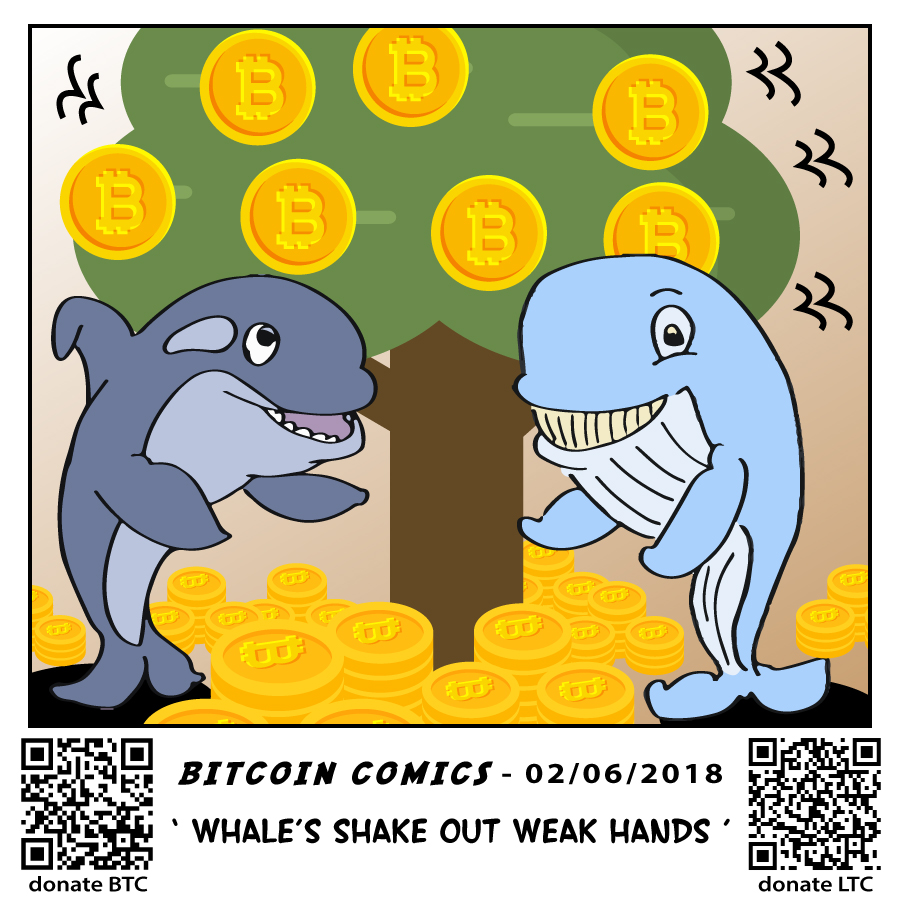 02-06-2018_whalesshake.jpg