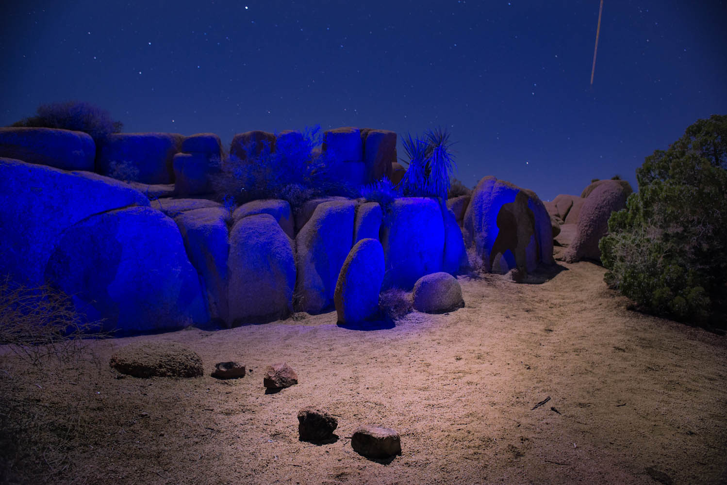 joshua-tree---camping_16244160830_o.jpg