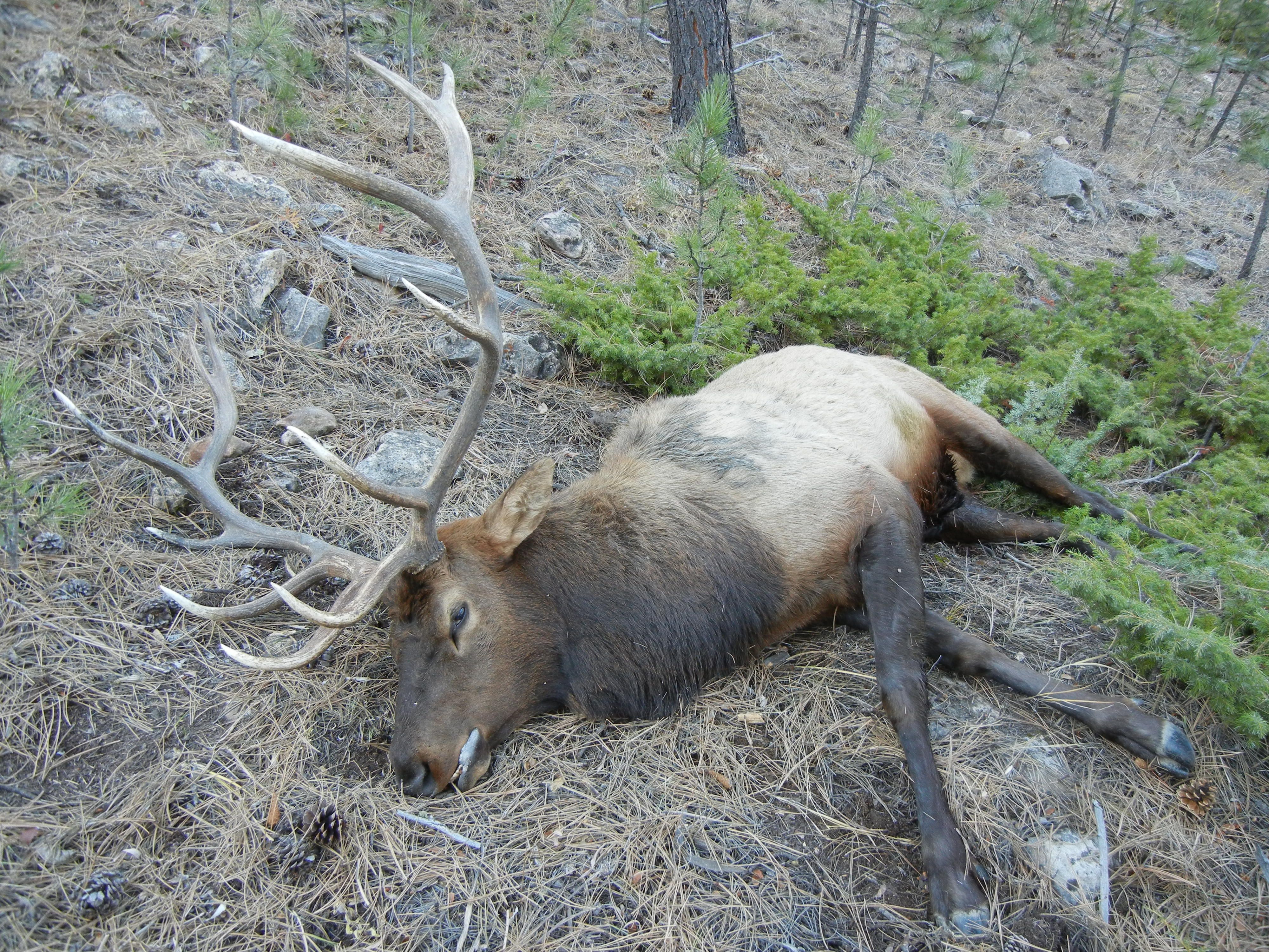 DSCN9771.JPG
