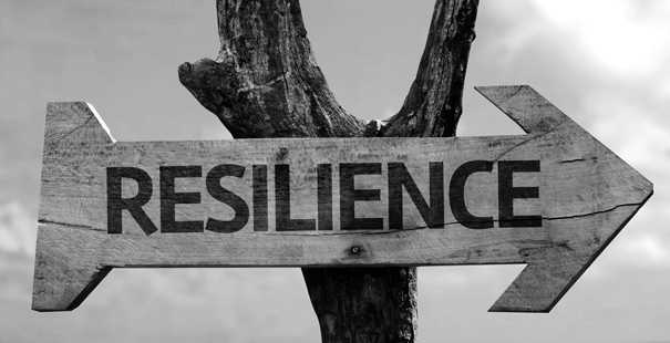 resiliencia-como-ser-resiliente-alphalife-coach.jpg