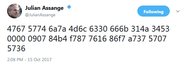 Assange-code.jpg