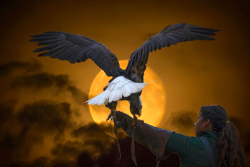 The Eagle and the Moon copy.jpg