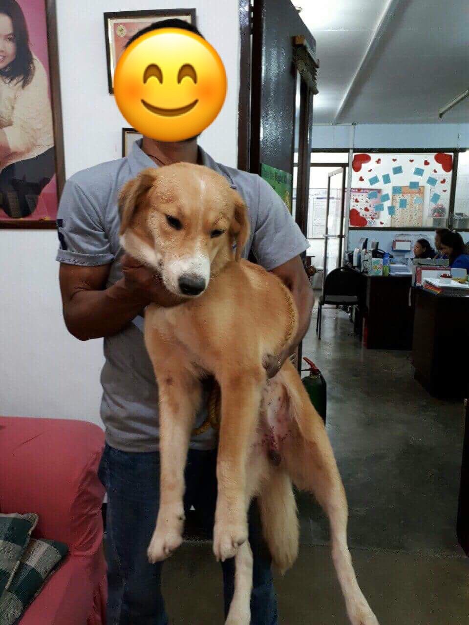 Photo 04-03-2018, 8 54 15 PM.jpg