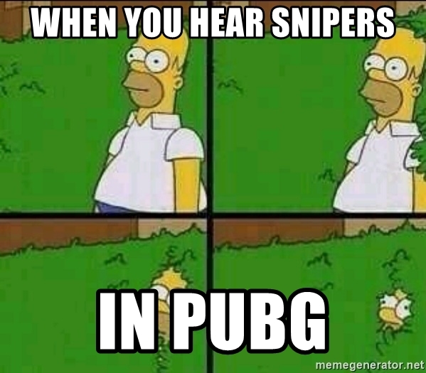 pubg_meme04.jpg