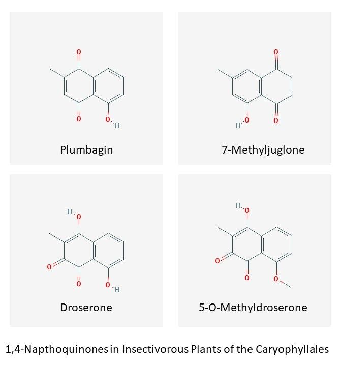 1,4-Napthoquinones in Insectivorous Plants of the Caryophyllales.jpg