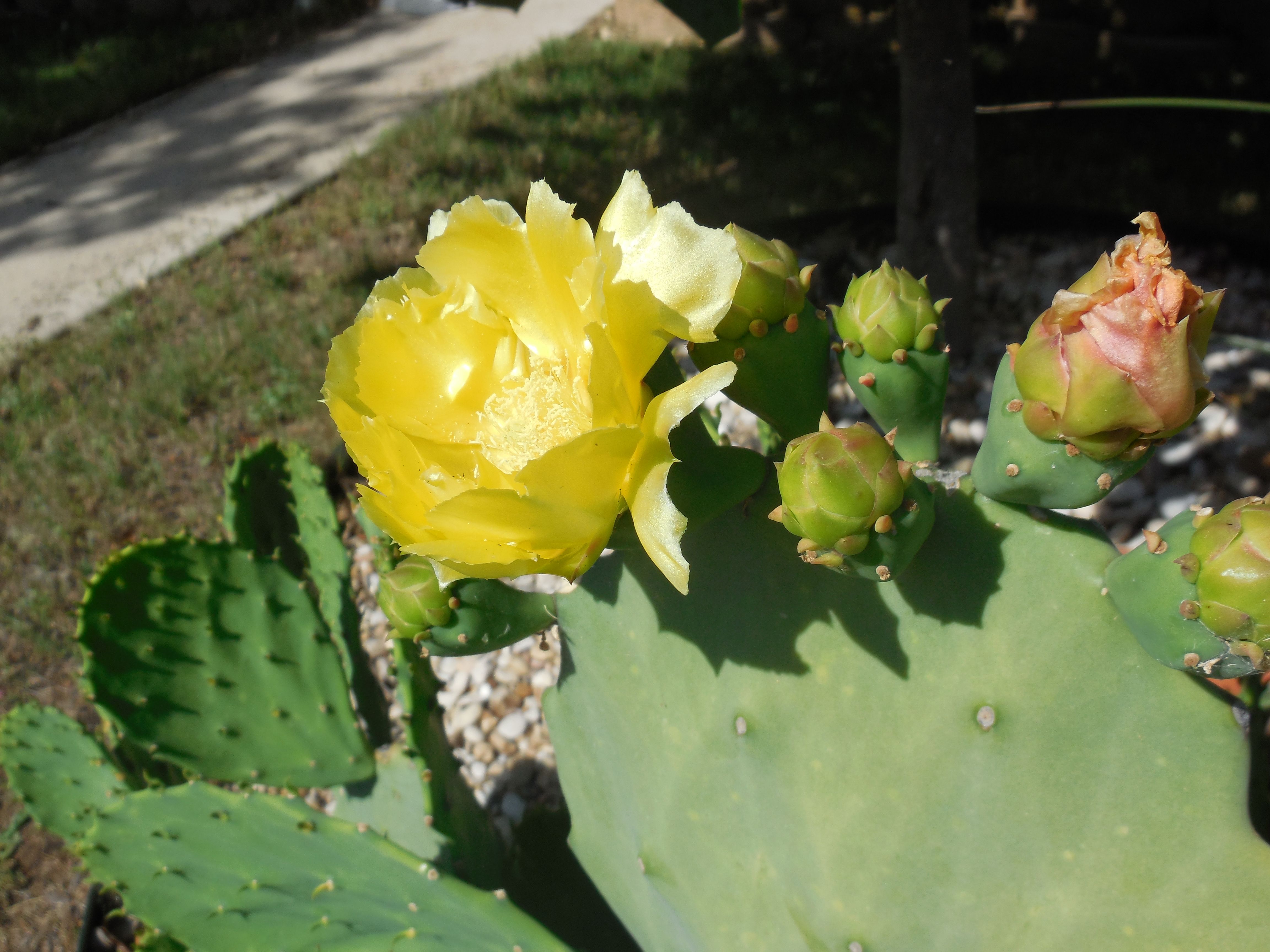 DSCN1320.JPG