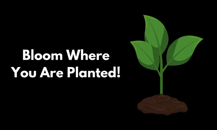 Bloom Where You Are Planted!.png