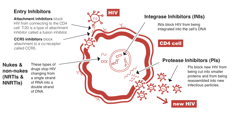 HIV cd4. Inhibition of HIV. Fusion inhibitors. HIV drugs.