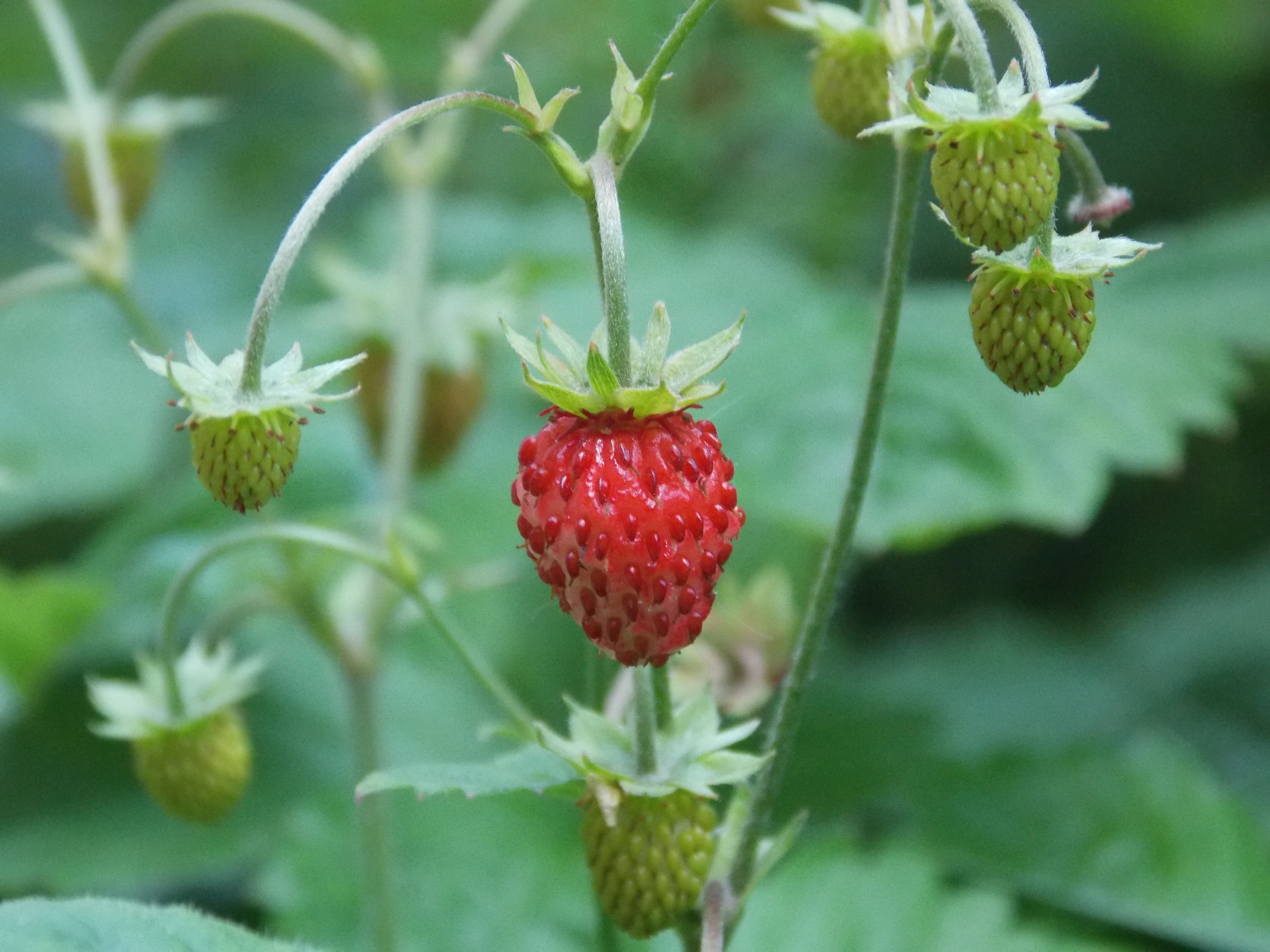 DSCN6440.JPG