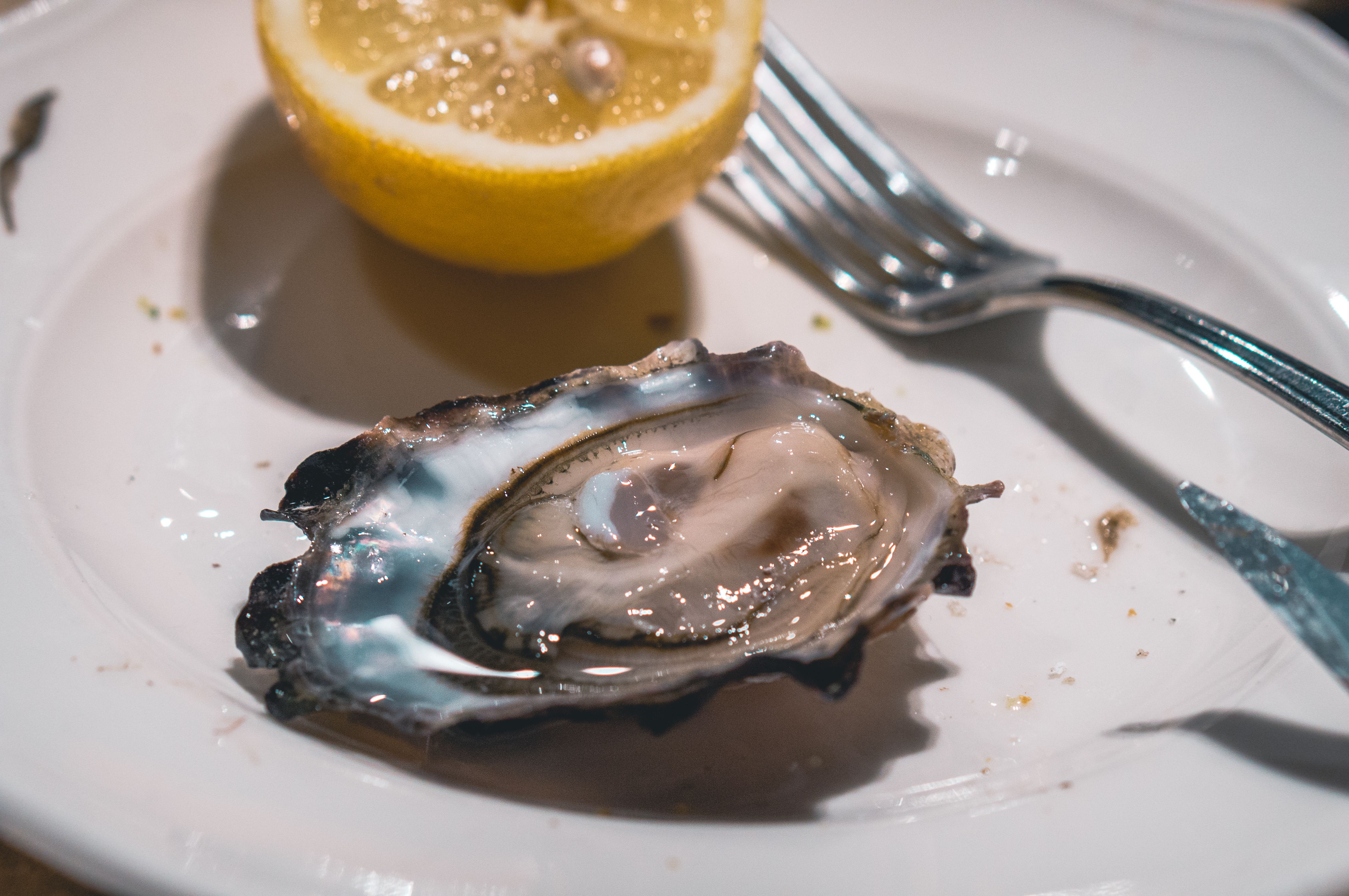 ostreliermasterclass (19 of 47).jpg