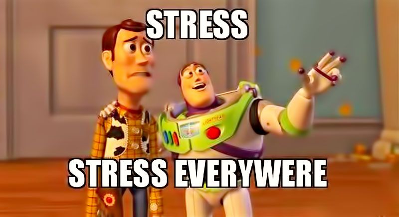 Funny Meme : STRESS - STRESS EVERYWERE — Steemit