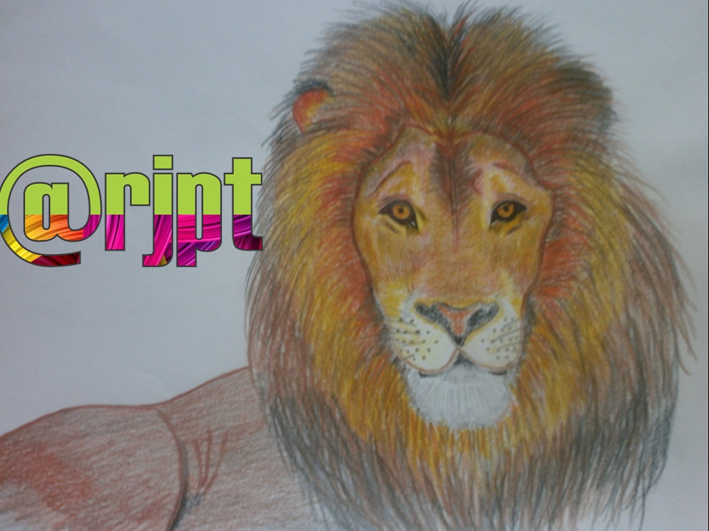 Dibujando un León solo con colores — Steemit