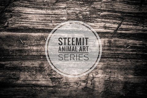 steemit animal art series.jpeg