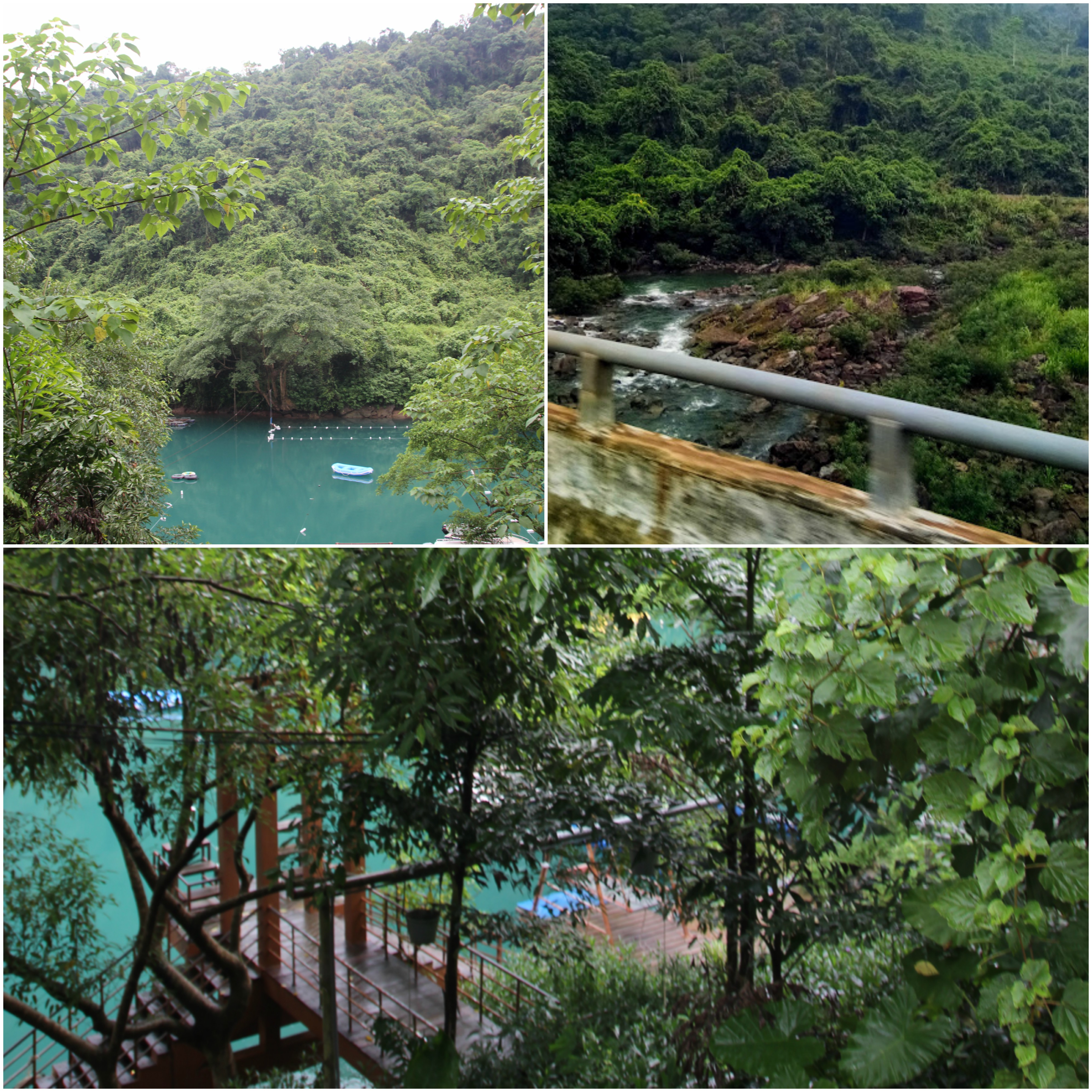 Blue water Collage.jpg