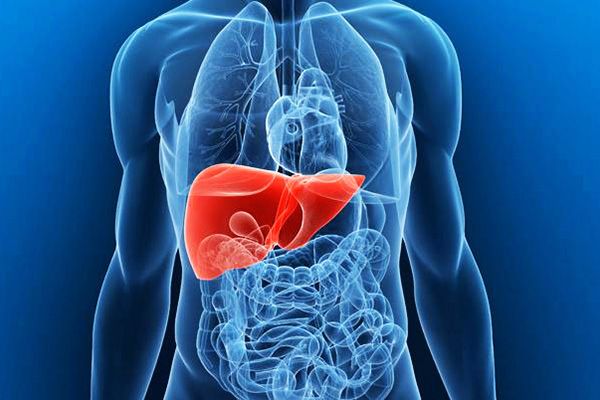 Liver-Cirrhosis-Causes.jpg