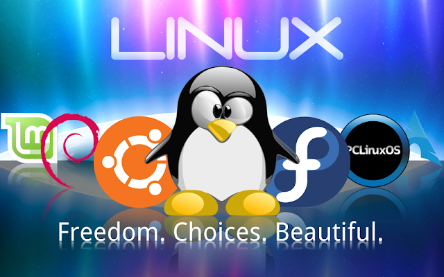 04112419-Linux_Wallpaper_1_by_technokoopa1-1024x640.png