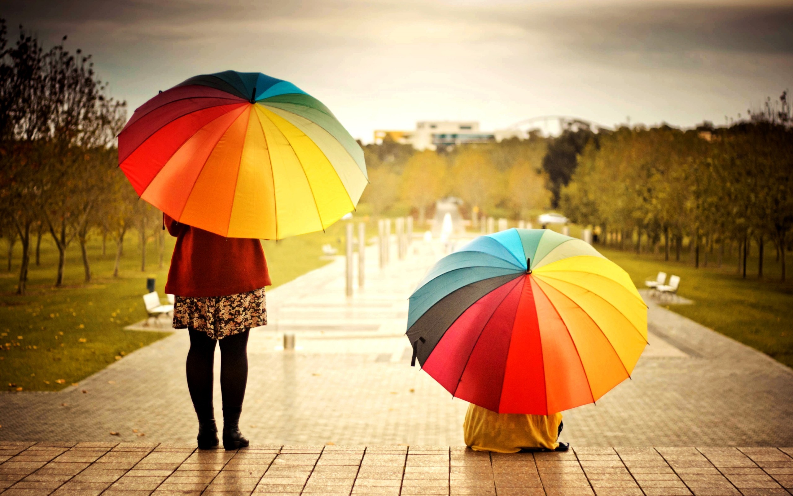 Rainbow_Color_Umbrella_on_Monsoon_Season_Wallpaper.jpg