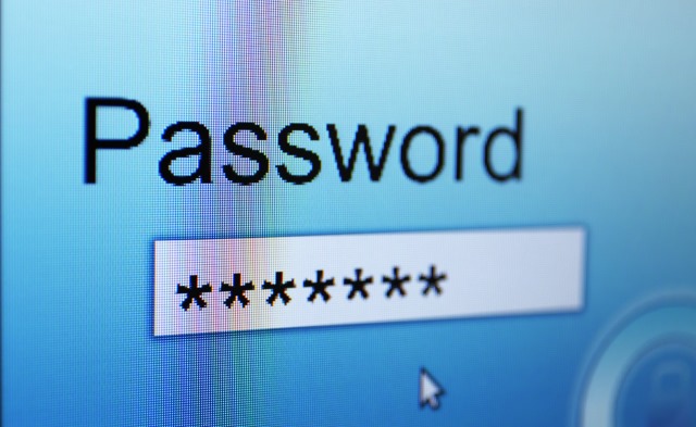 password-field.jpg