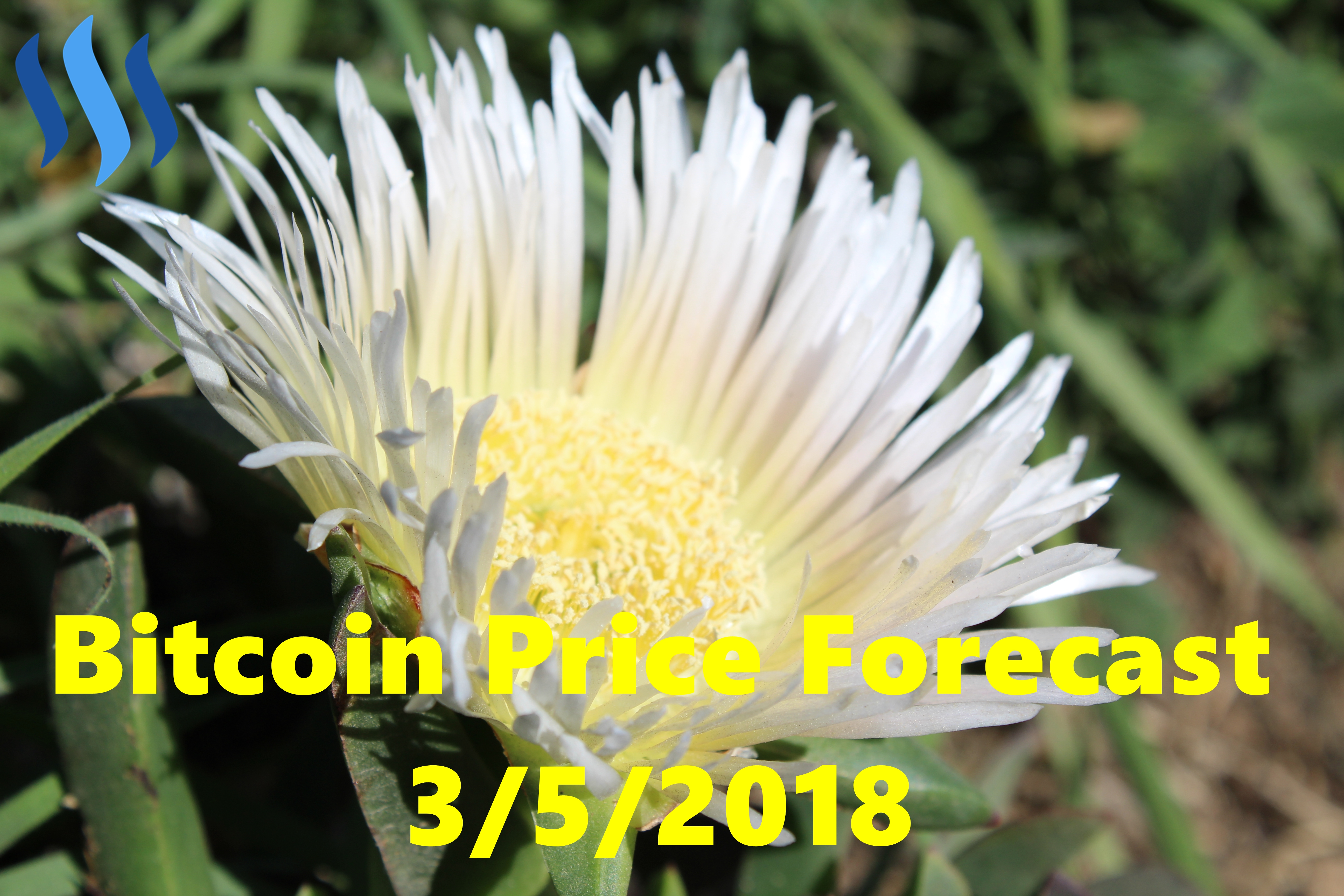 BTCforecast03052018Front.jpg