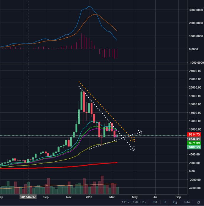 btc weekly 25 mar.JPG