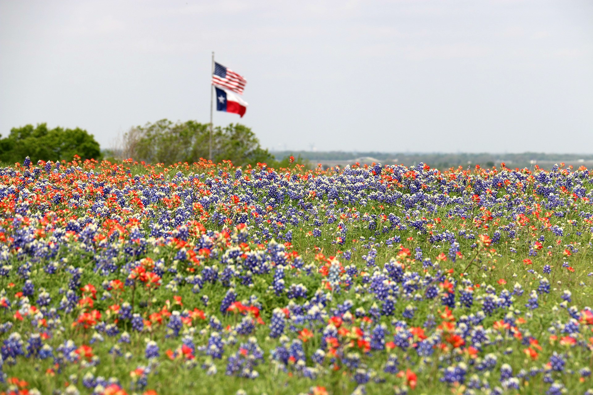 girlinchief-fun-things-to-do-in-texas-this-spring.jpg