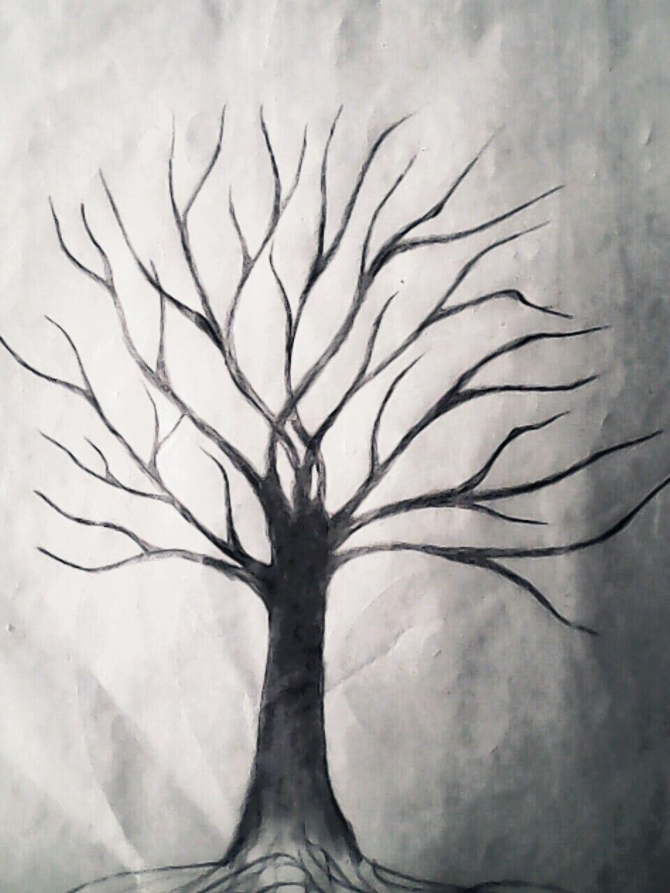 pencil drawing of a tree without leaves howtotieashirtknotsweater