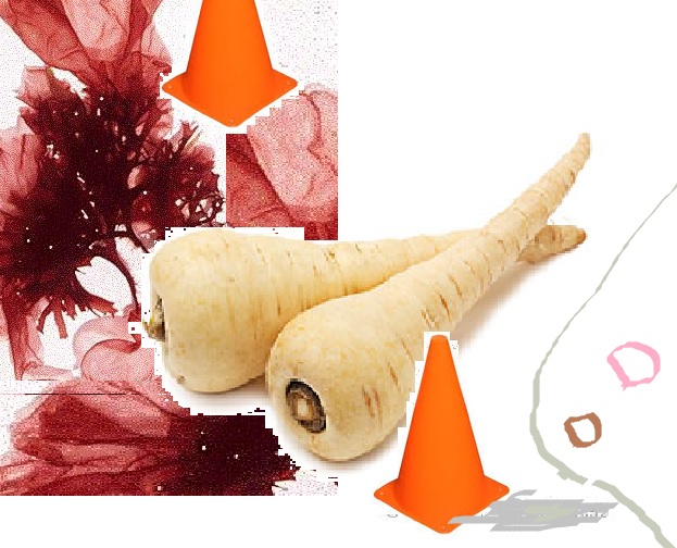 parsnipppppp.jpg