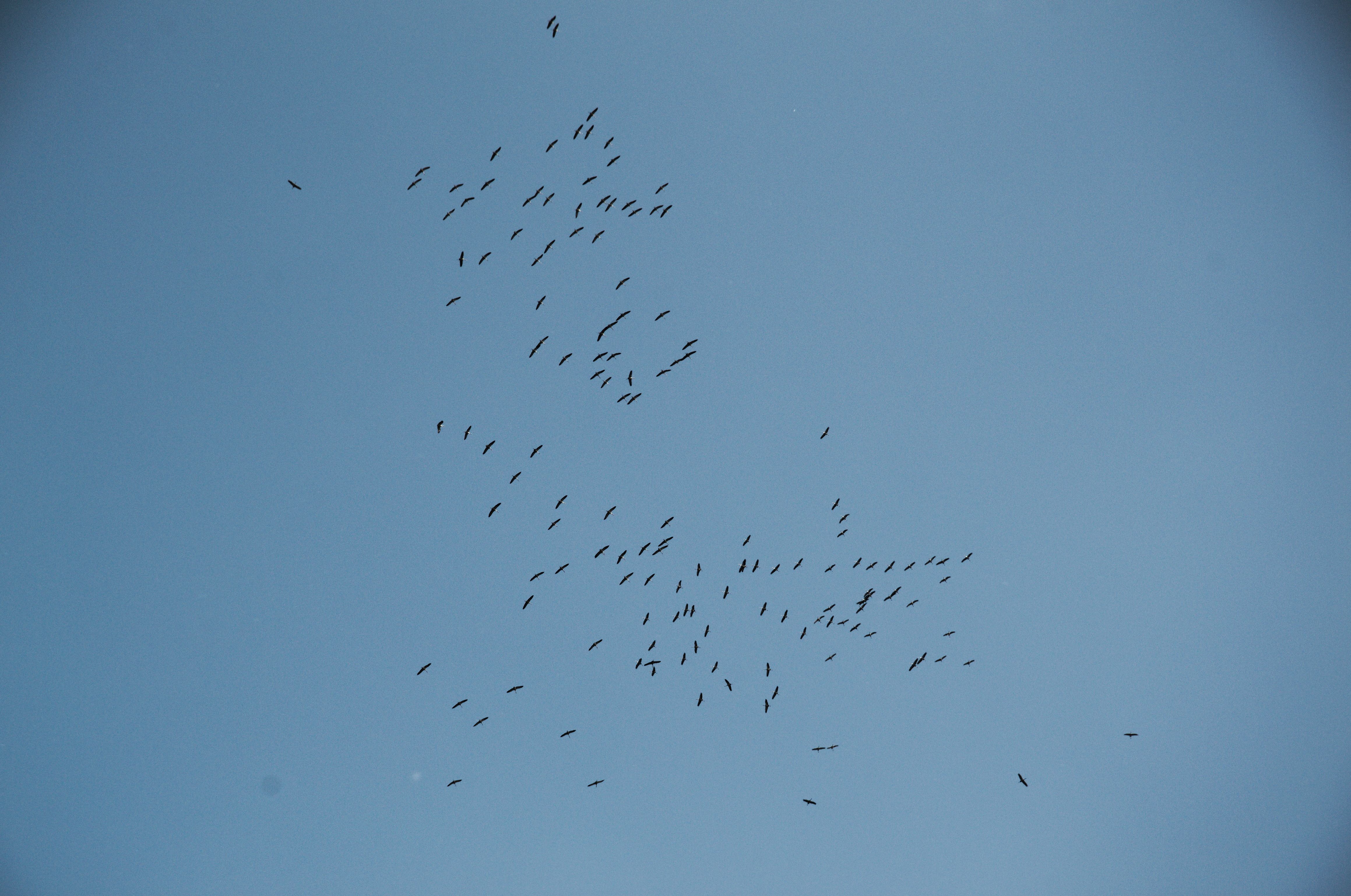 DSC_0557.jpg