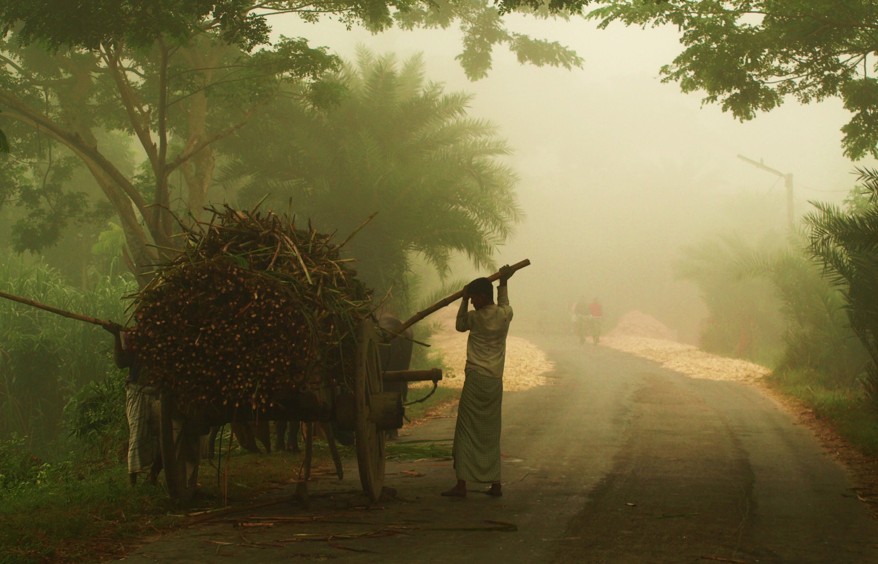 Winter_Morning_at_Chalknazirpur_Natore_Bangladesh_3.JPG