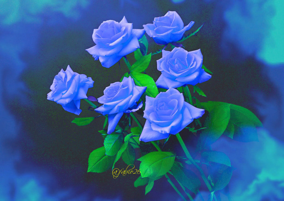 rose blu-iloveimg-resized.jpg