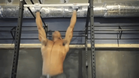 giphy.gif