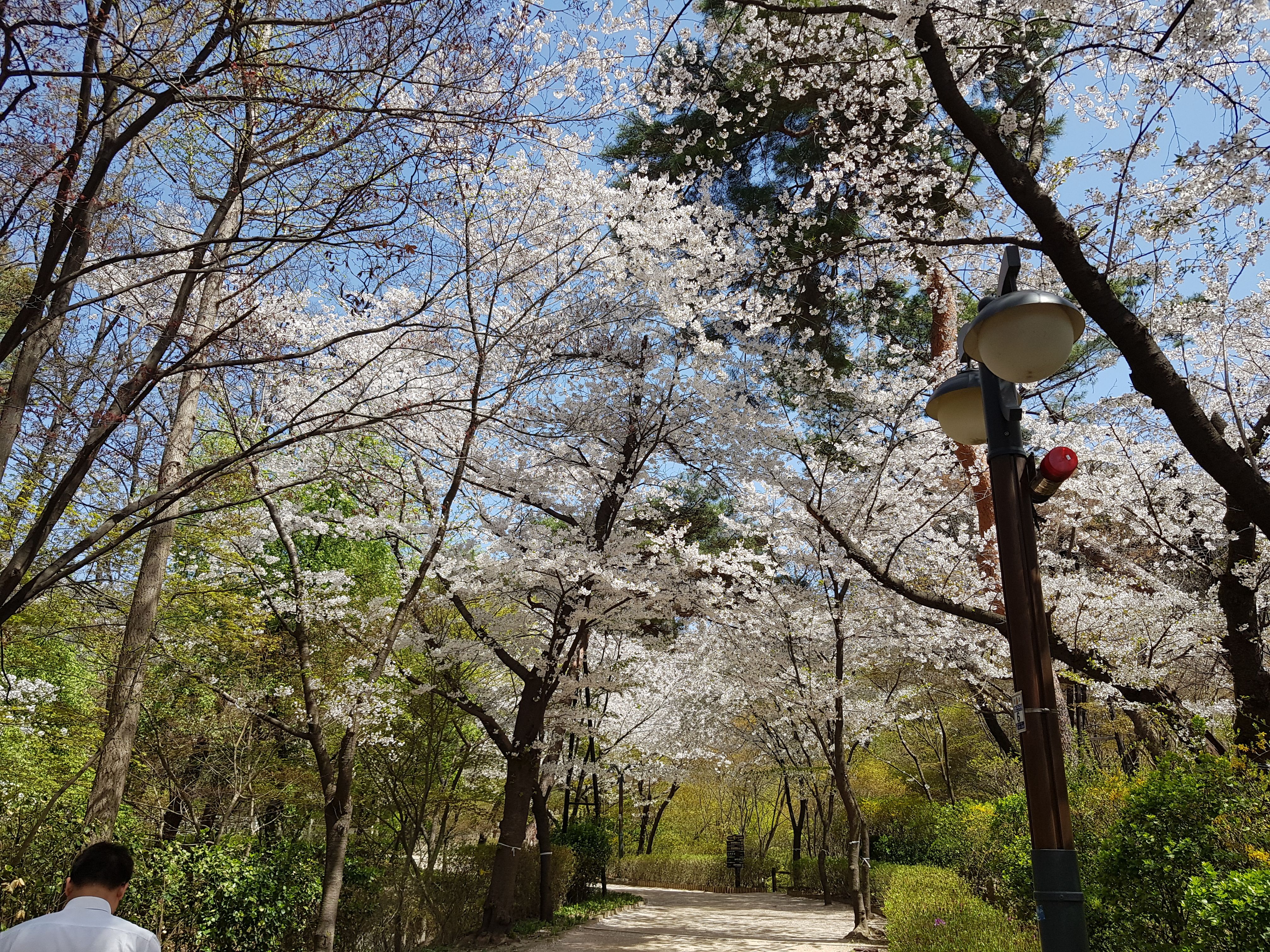 20180412_122409.jpg