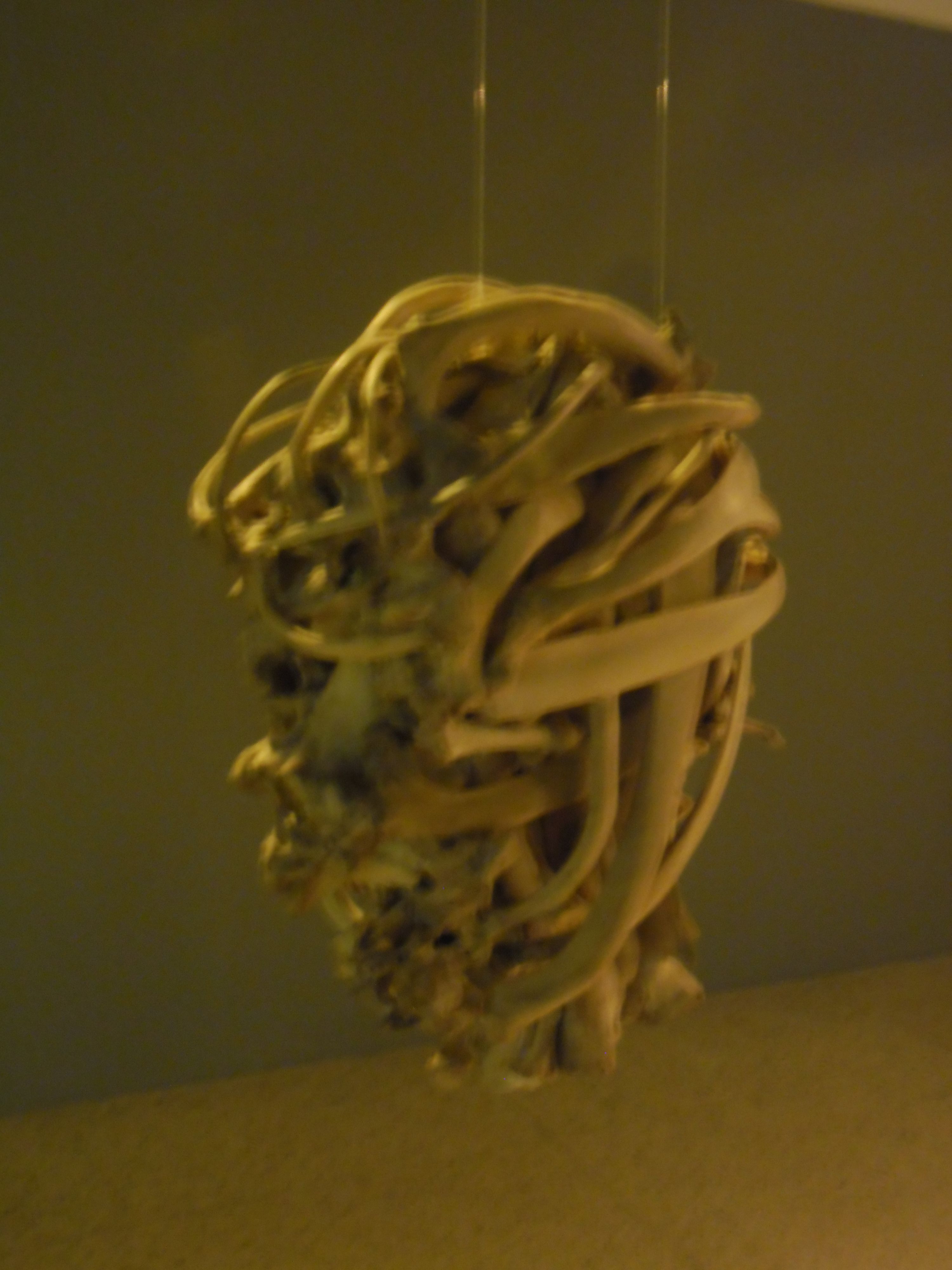 SAM_0038.JPG