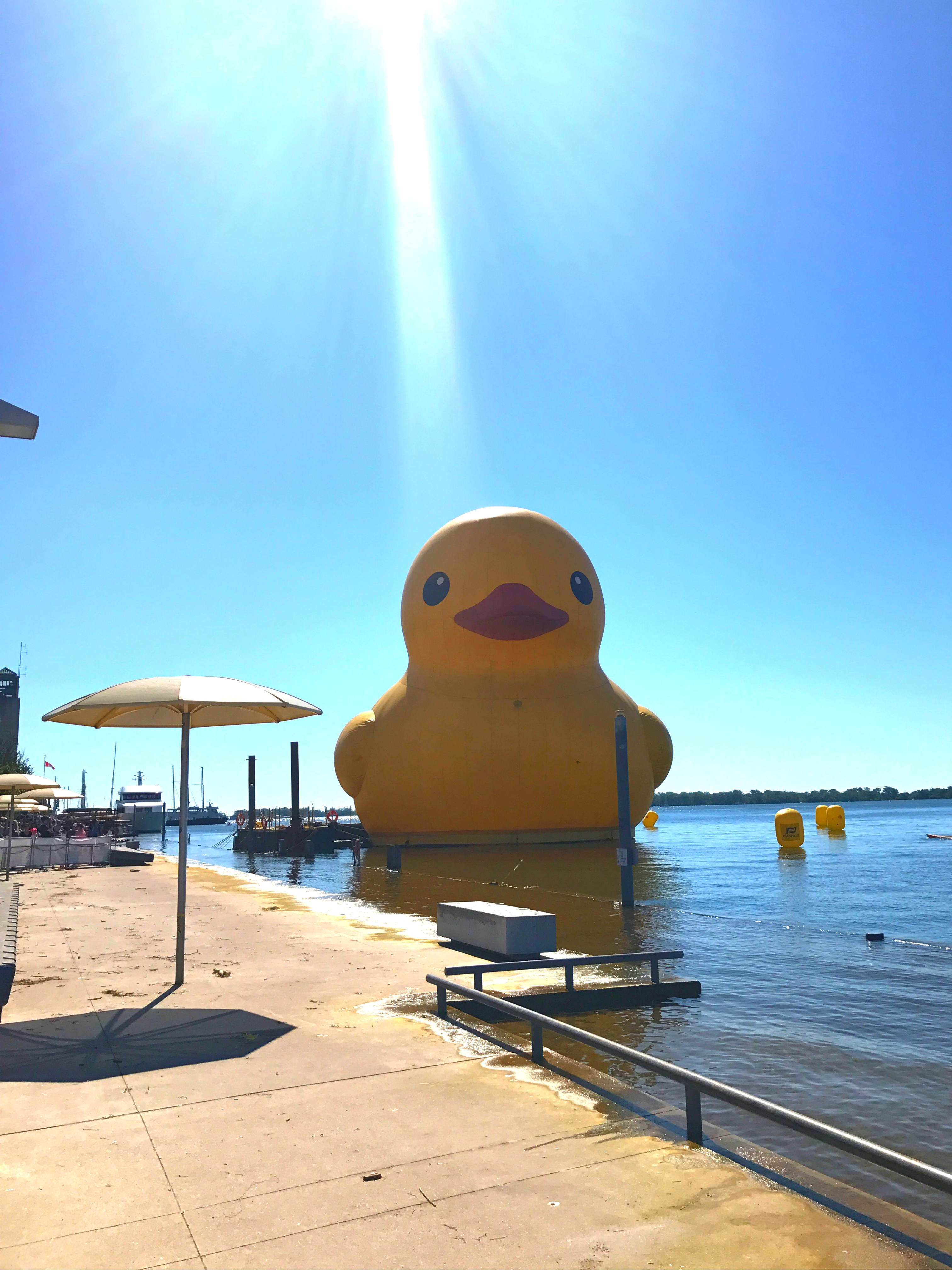 Rubber Duck.png