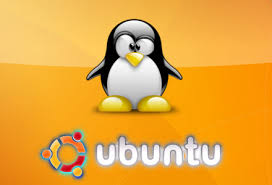 linux.jpeg
