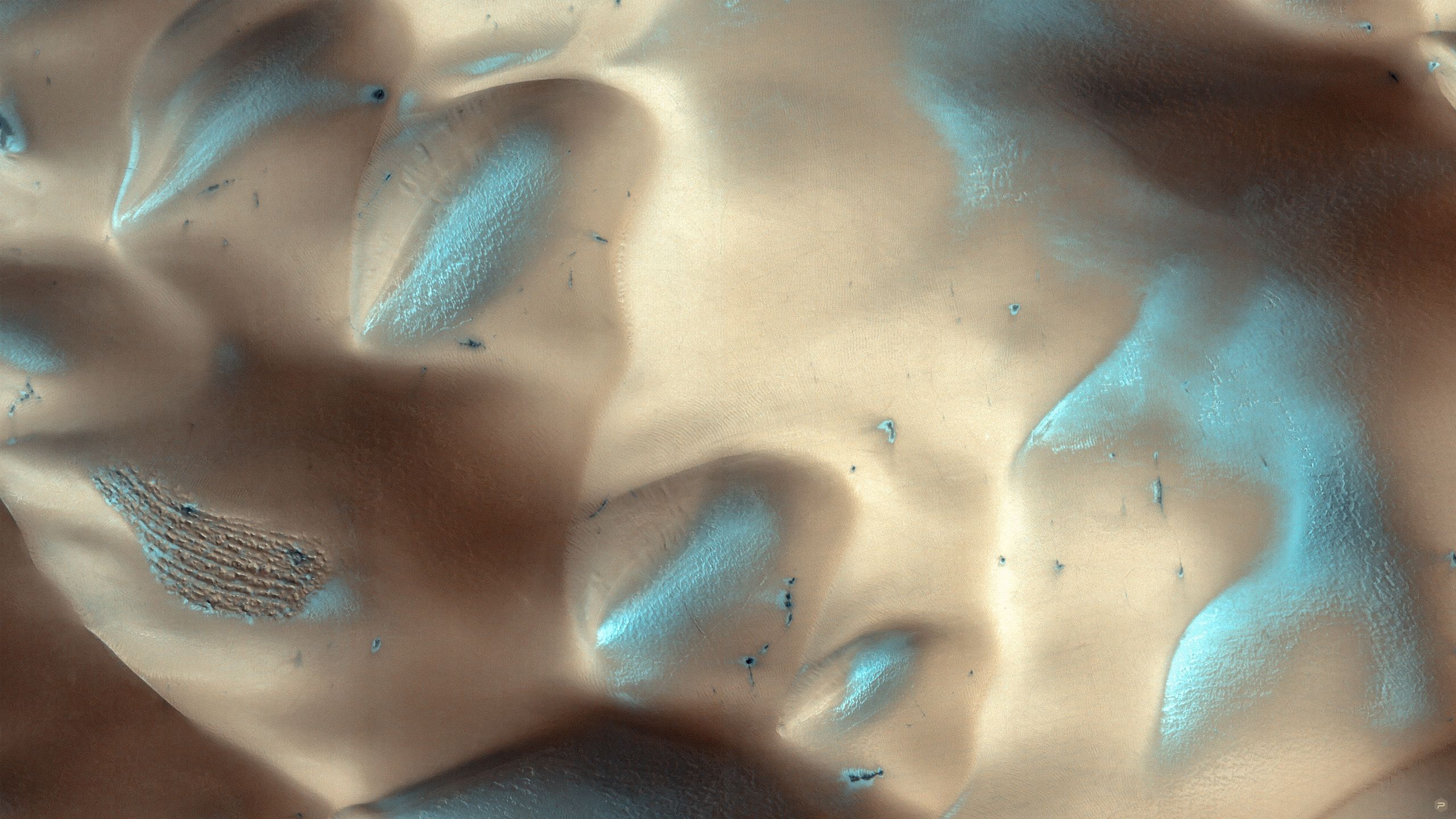 Mars Surface3.jpg