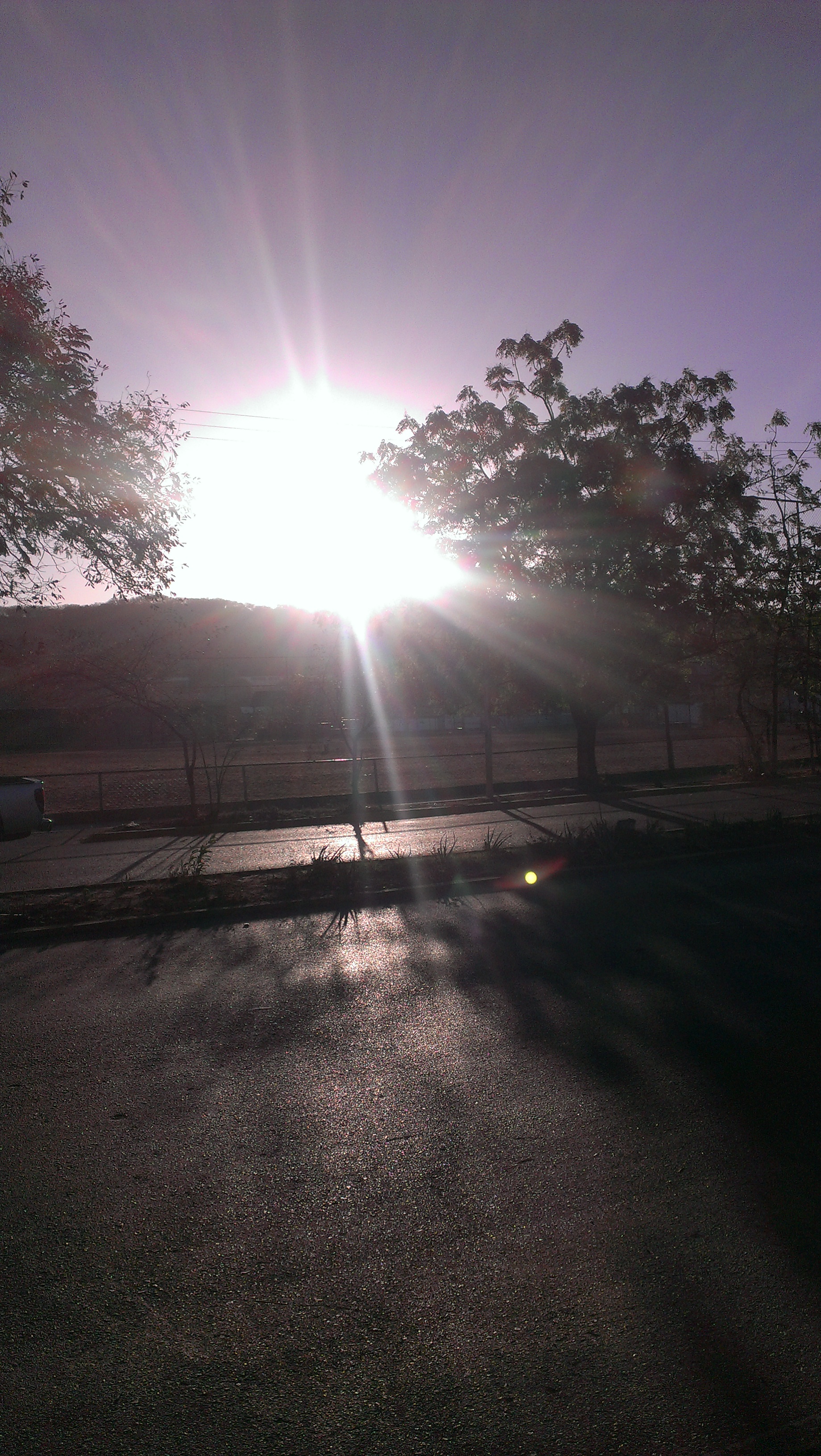 IMAG0283.jpg