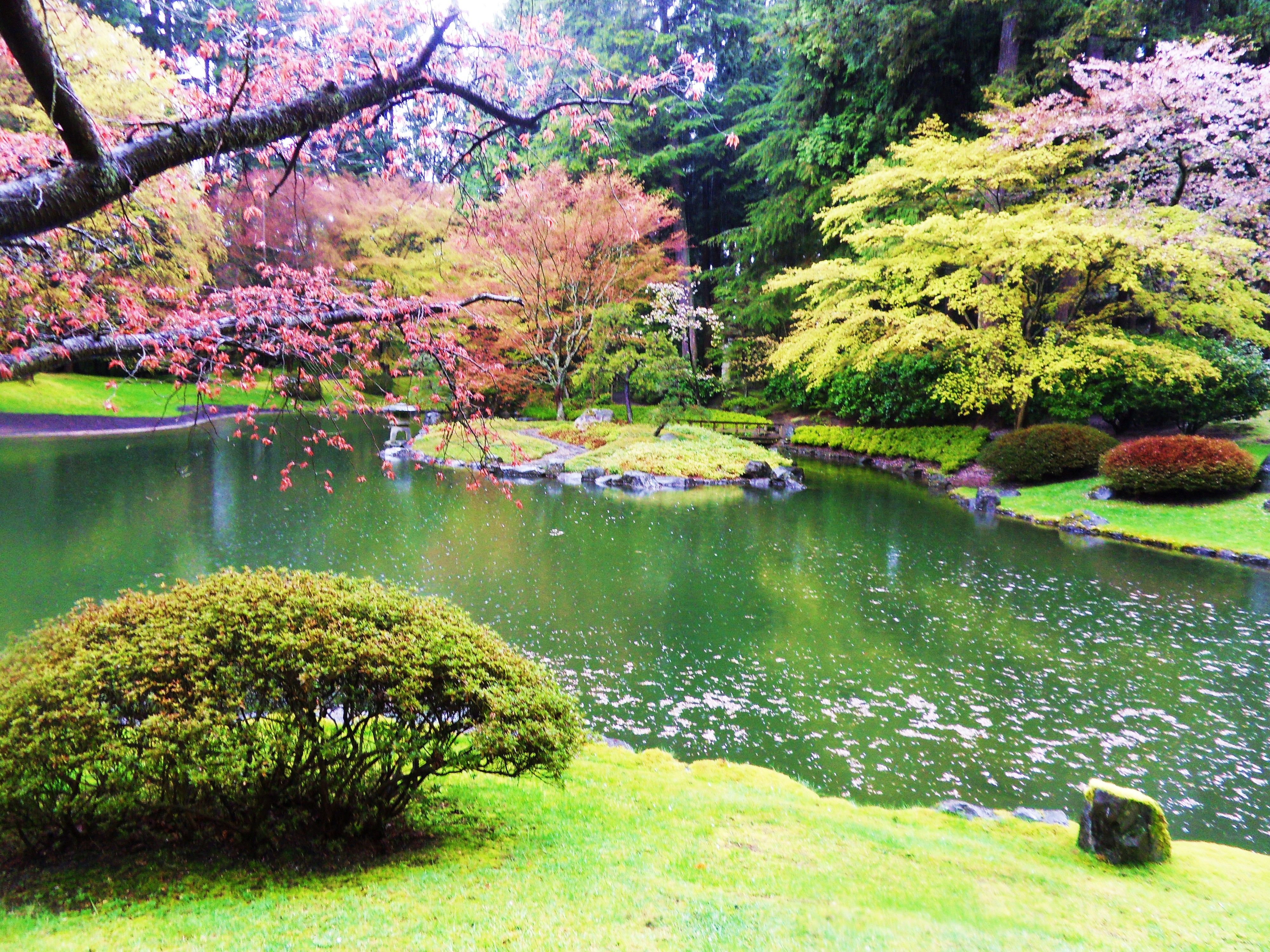 Nitobe_Memorial_Garden_3.jpg