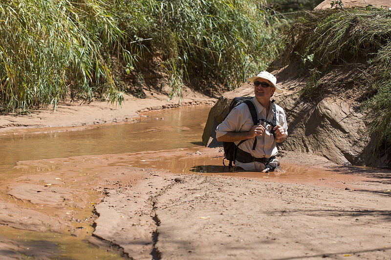 Quicksand_in_Courthouse_Wash_(9737357112).jpg