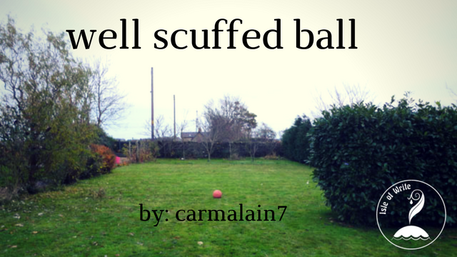 well scuffed ball.png
