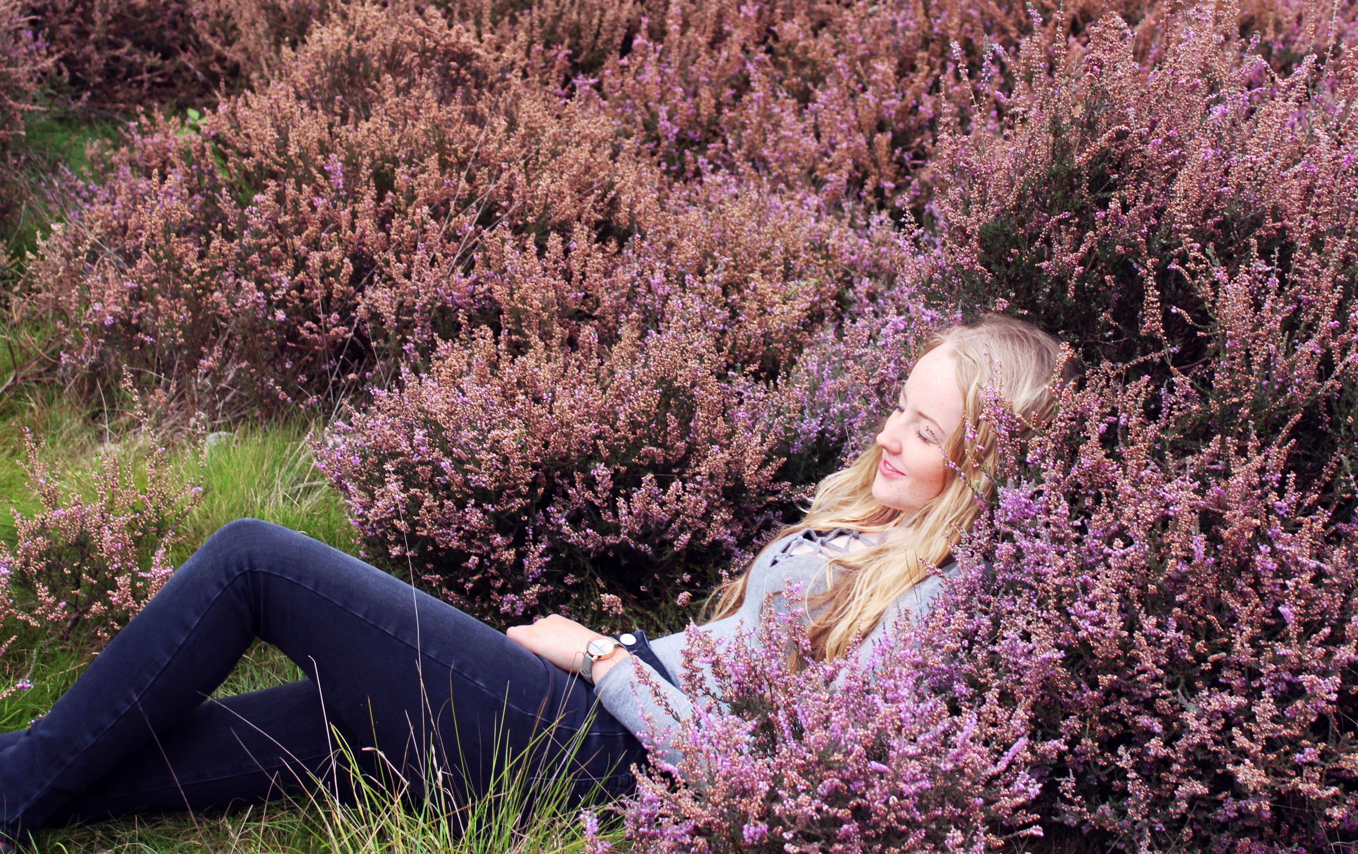 Alice in pink heather.jpg