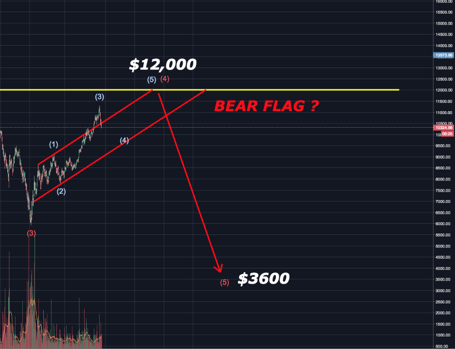 BearFlag bring us down.png